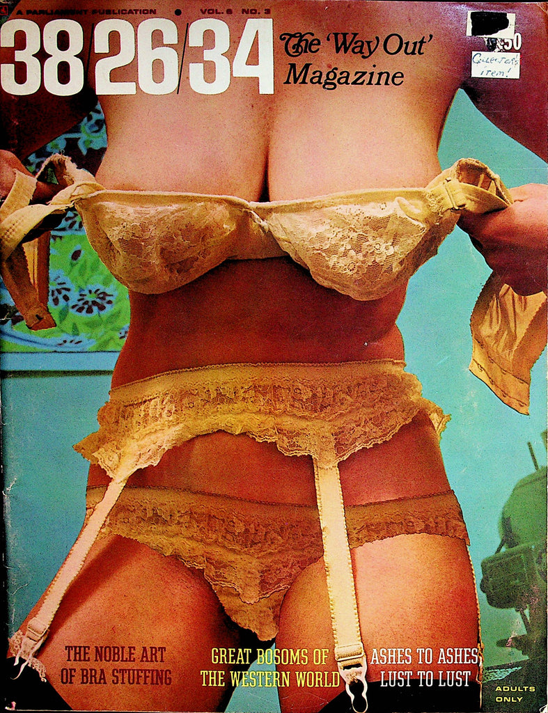 38-263-34 Busty Vintage Magazine  Uschi Digard Centerfold vol.6 #3  1969 Parliament Publication   070122lm-p