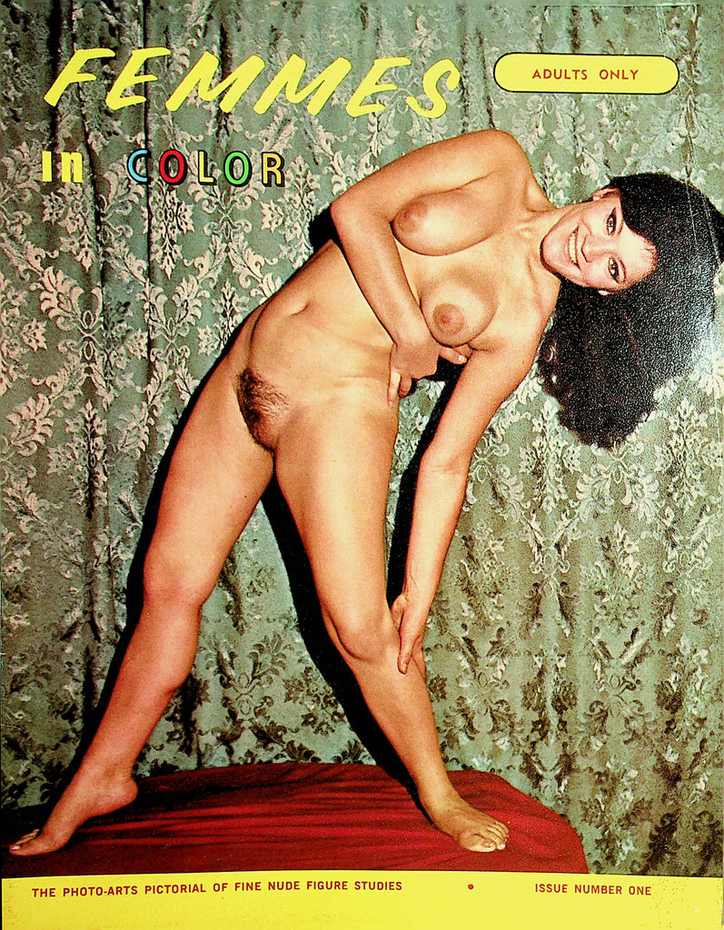 Femmes In Color Magazine Photo-Arts Pictorial Of Fine Nude Figure Studies #1 1960's   061721lm-dm2