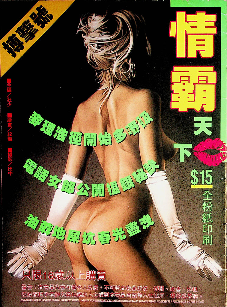 Asian International Magazine #18     090322lm-p2