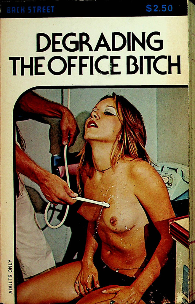 Degrading The Office Bitch Novel  1979 Star Distributors   110621lm-dm