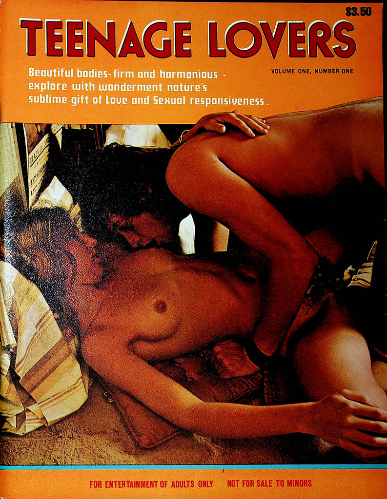 Teenage Lovers Magazine Love and Sexual Responsiveness #1 1970's 18+  100820lm-sh