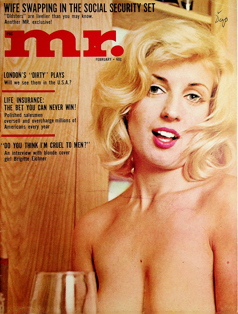 Mr.  Vintage Magazine  Covergirl Brigitte Eichner  February 1965   091521lm-dm