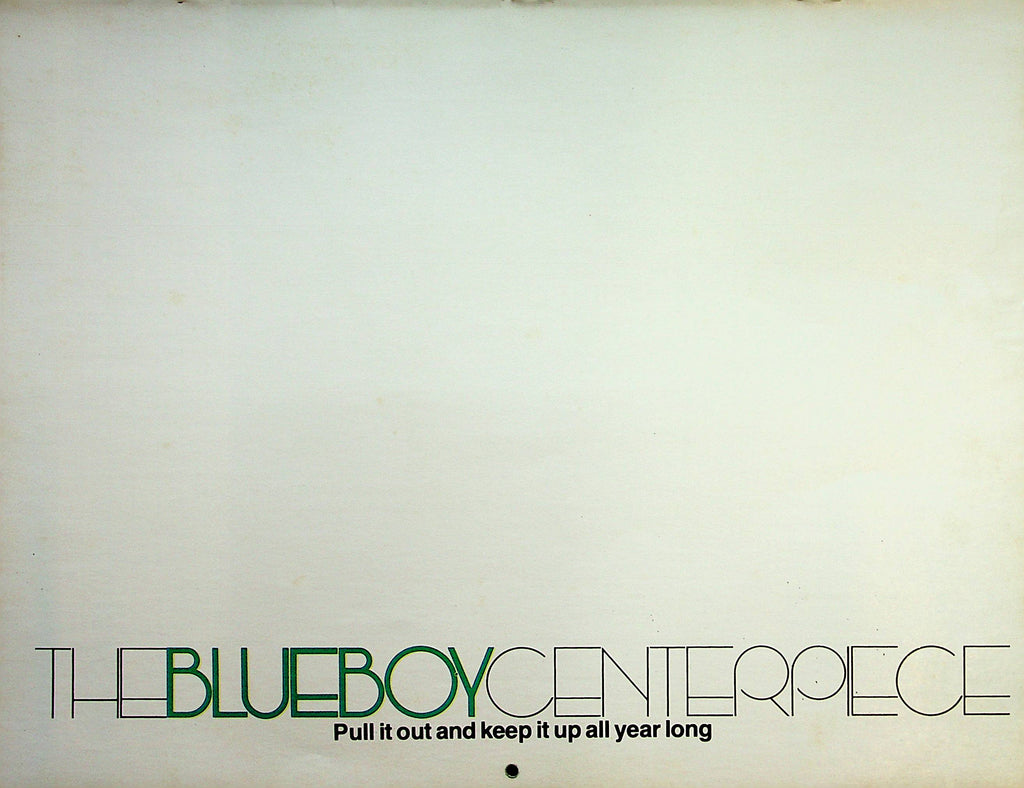 Blueboy Men's 1979 Wall Calendar   12"  x  8 1/2" Soho Galleries      041323lm-pcal
