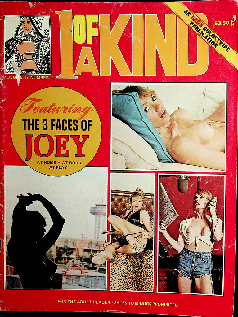 1 Of A Kind Magazine  The 3 Faces Of Joey   vol.5 #2  1974 Eros Publishing  012522lm-dm