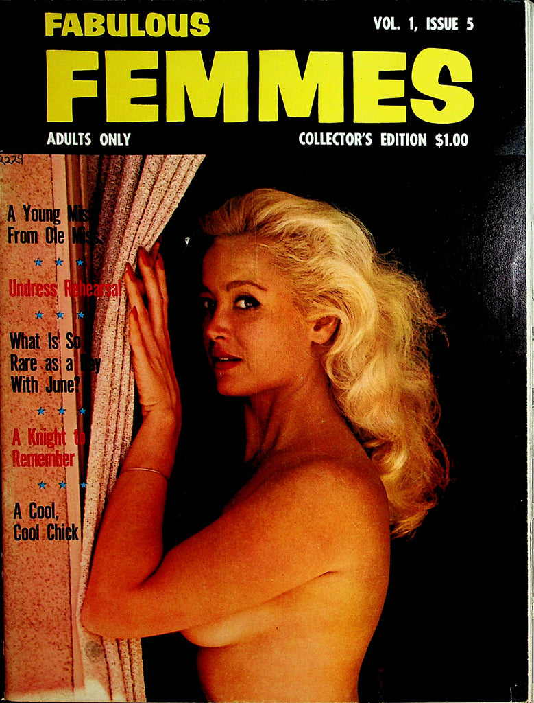 Fabulous Femmes Busty Magazine  Paula Paige    122821lm-dm2