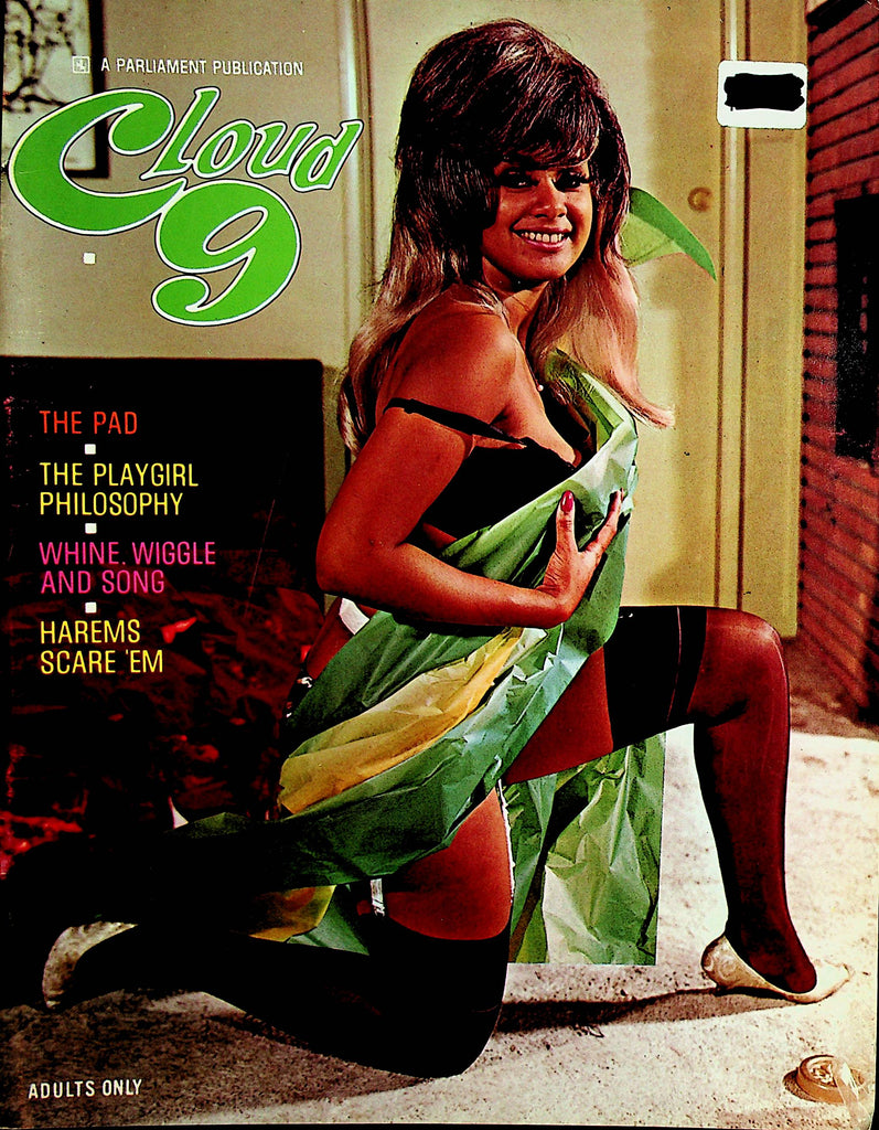Cloud 9 Magazine  The Playgirl Philosophy  February 1967 Parliament Publication  120221lm-dm