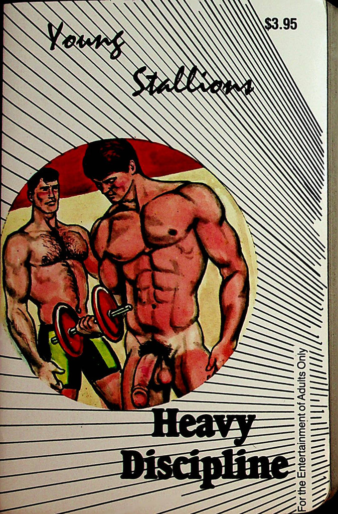 Heavy Discipline Gay Novel  Young Stallions  1989 Star Distributors 110721lm-dm