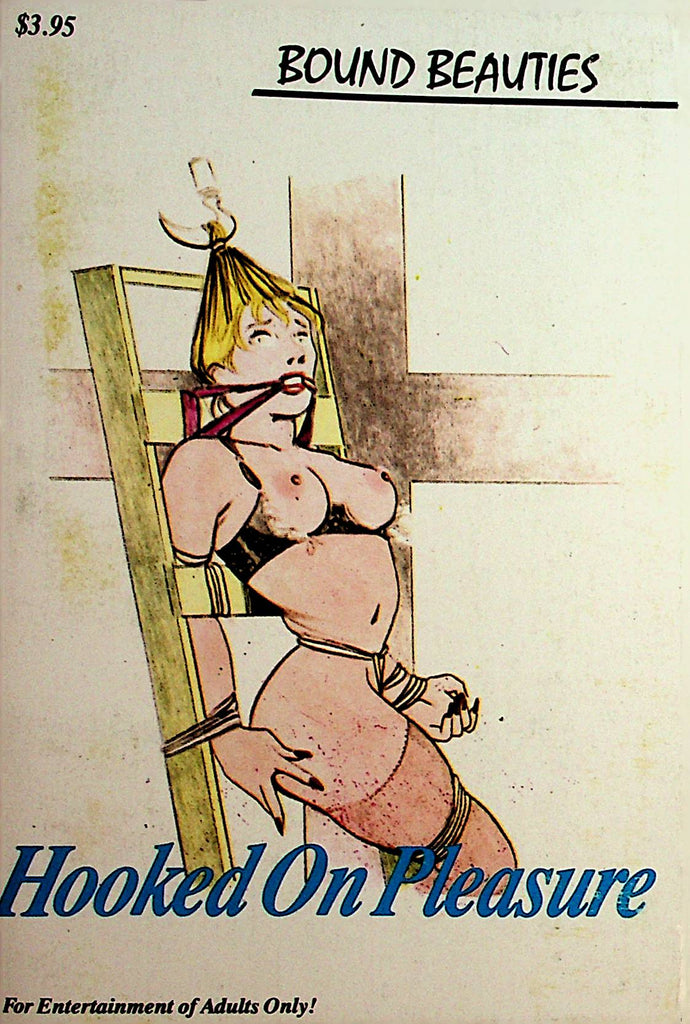 Hooked On Pleasure Bondage Novel  1990  Bound Beauties     062621lm-DM2