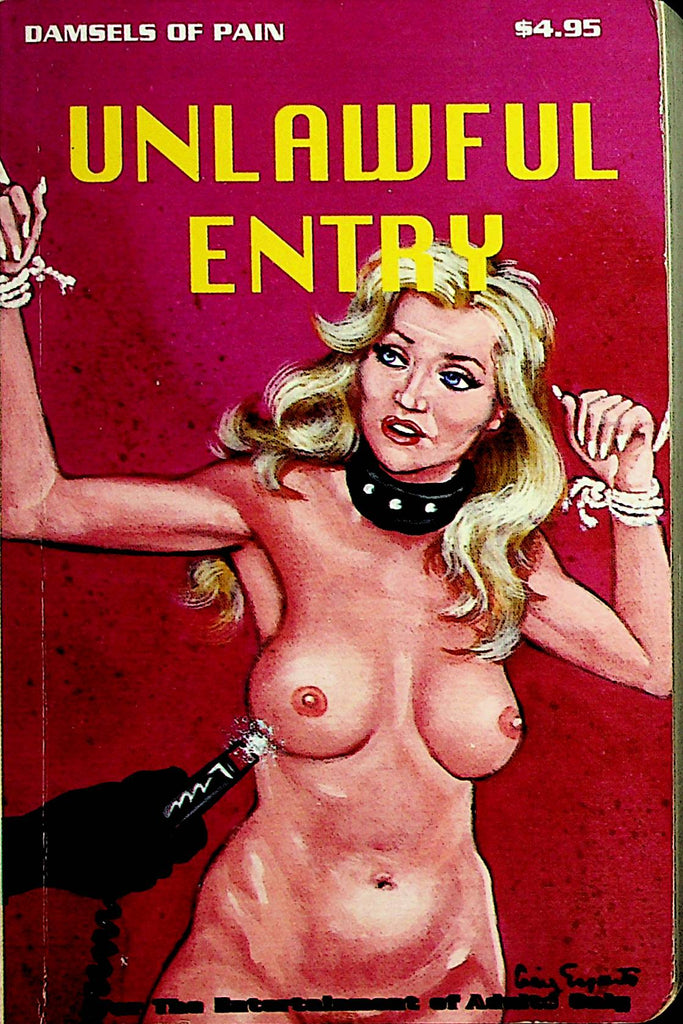 Unlawful Entry Bondage Novel  1994  Damsels Of Pain     062621lm-DM2