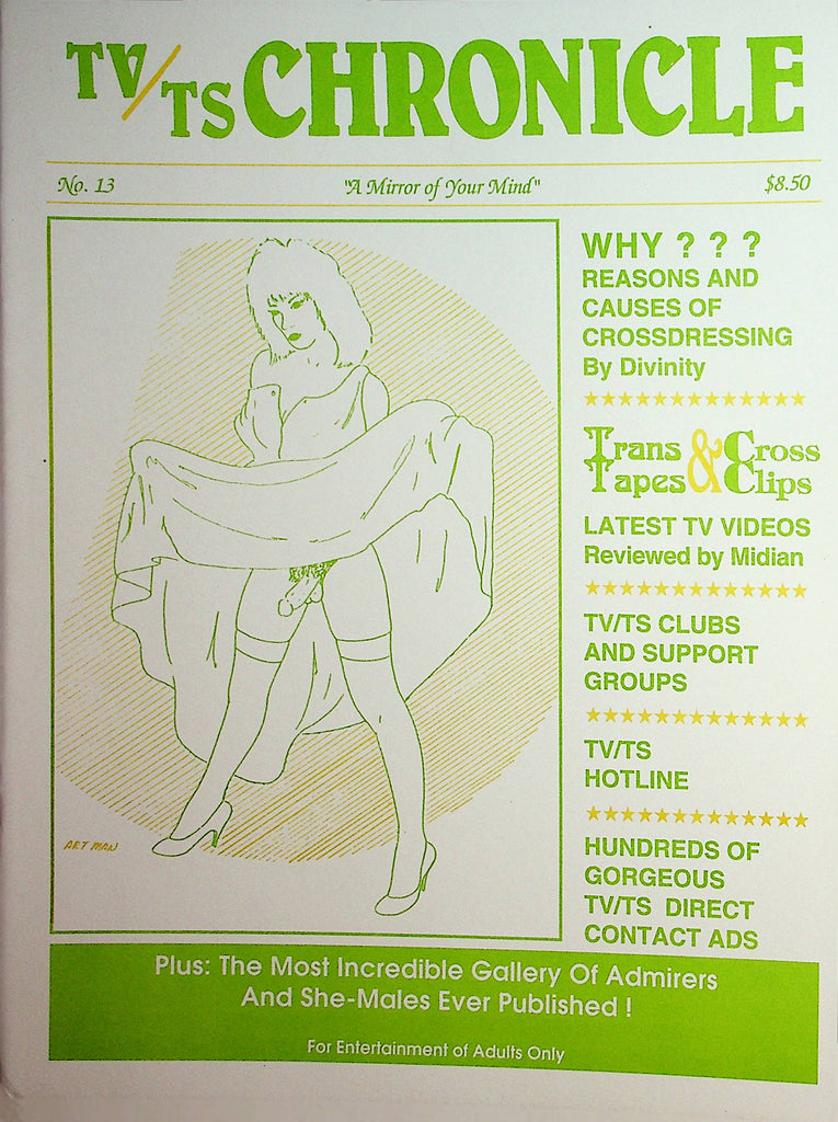 TV/TS Chronicle Contact Magazine  Reasons And Causes Of Crossdressing  #13 1993   012522lm-dm