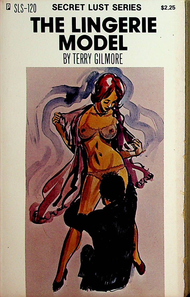 The Lingerie Model Novel by Terry Gilmore  1977   110421lm-dm