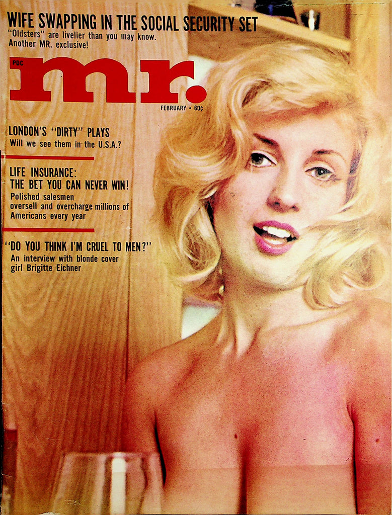 Mr. Vintage Busty Magazine  Covergirl Brigitte Eichner February 1965    122221lm-dm