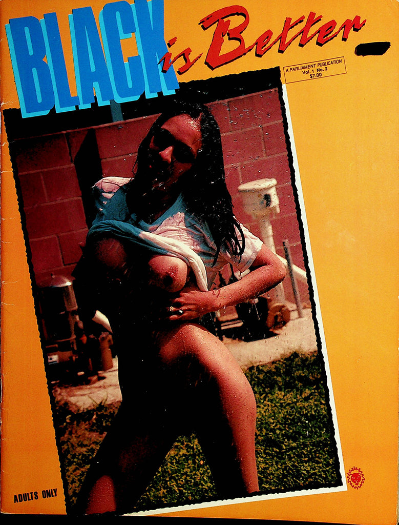 Black Is Better Magazine  Busty Marlena  vol.1 #2 1990 Parliament  Publication     020822lm-dp2