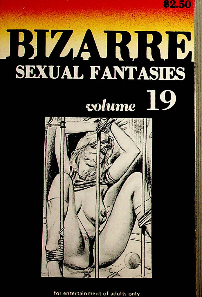 Bizarre Sexual Fantasies vol.19 Adult Novel  1980 Star Distributors    022823lm-p2