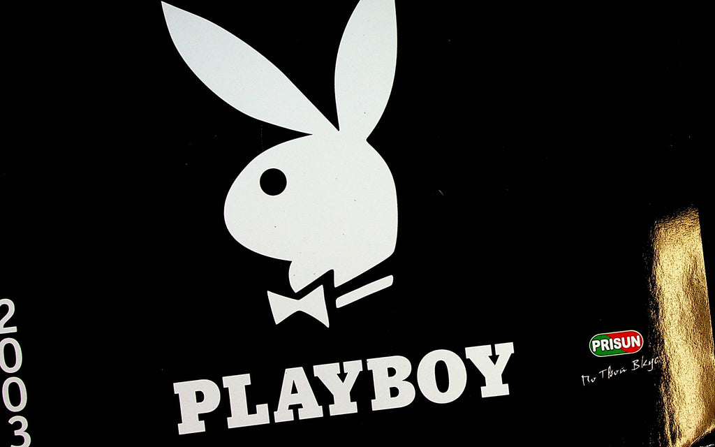 Playboy International 2003 Wall Calendar   15" x 11"    041923lm-pcal