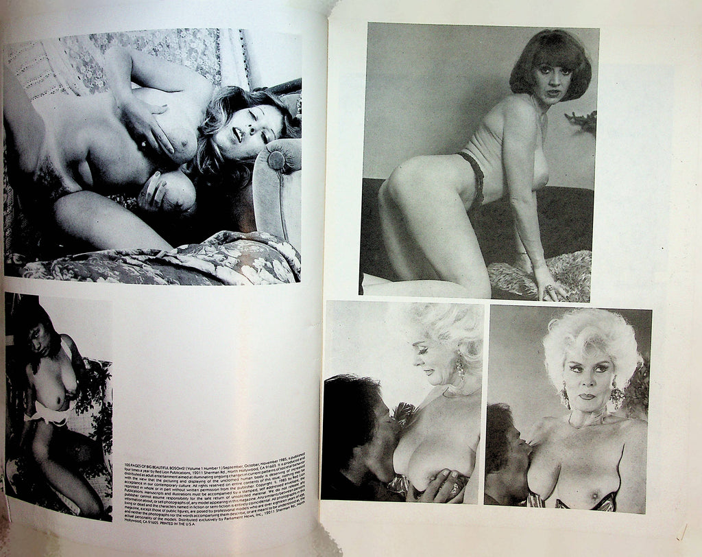 100 Pages Of Big Beautiful Bosoms! Candy Samples, Ursula, Seka vol.1 # –  Mr-Magazine