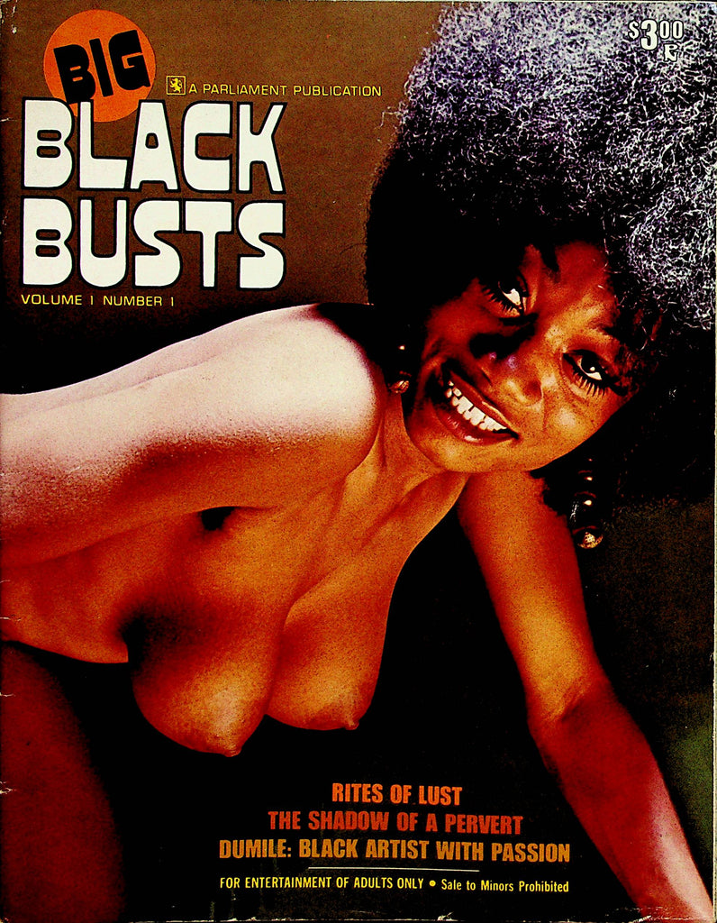 Big Black Busts Magazine   Covergirl Leila   vol.1 #1  1970's    111522lm-p2