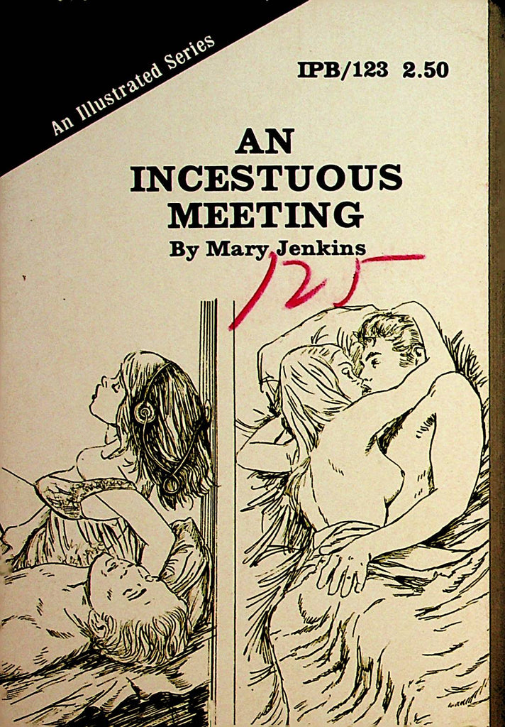 An Incestuous Meeting Novel by Mary Jenkins 1976    092221lm-dm