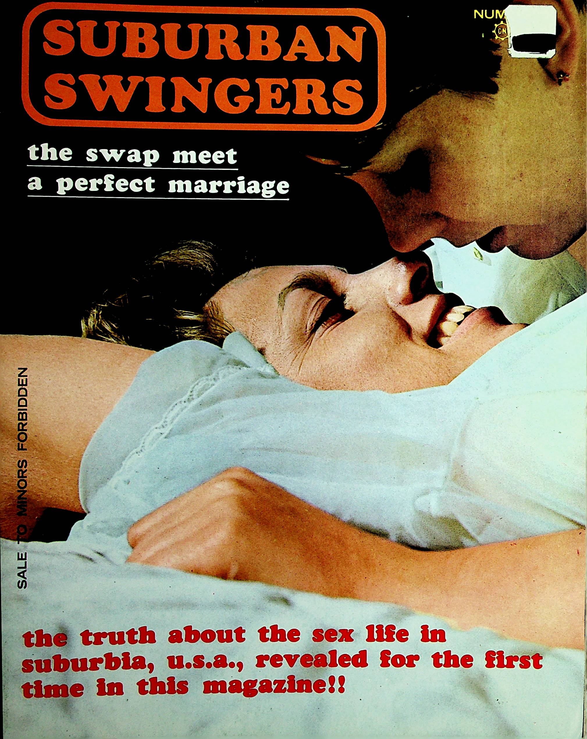 Suburban Swingers Magazine The Swap Meet A Perfect Marriage #1 1969 Pr