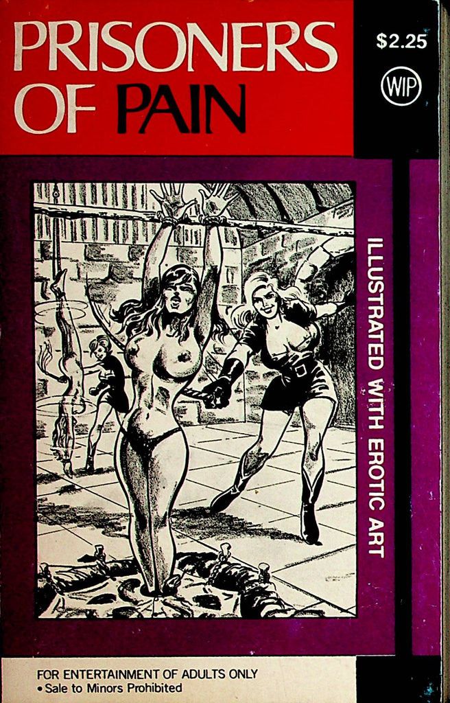 Prisoners Of Pain Novel  by Derrick Straub 1970 Star Distributors    110621lm-dm