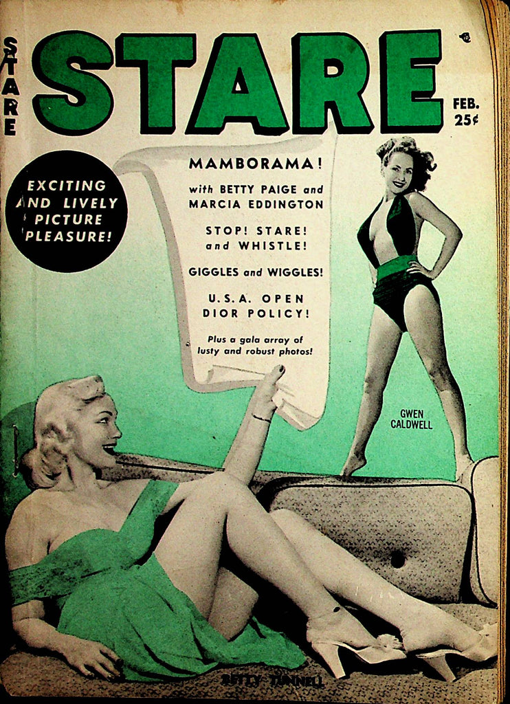 Stare Vintage Digest  Cartoons & Gals / Betty Page  February 1955   032322lm-p