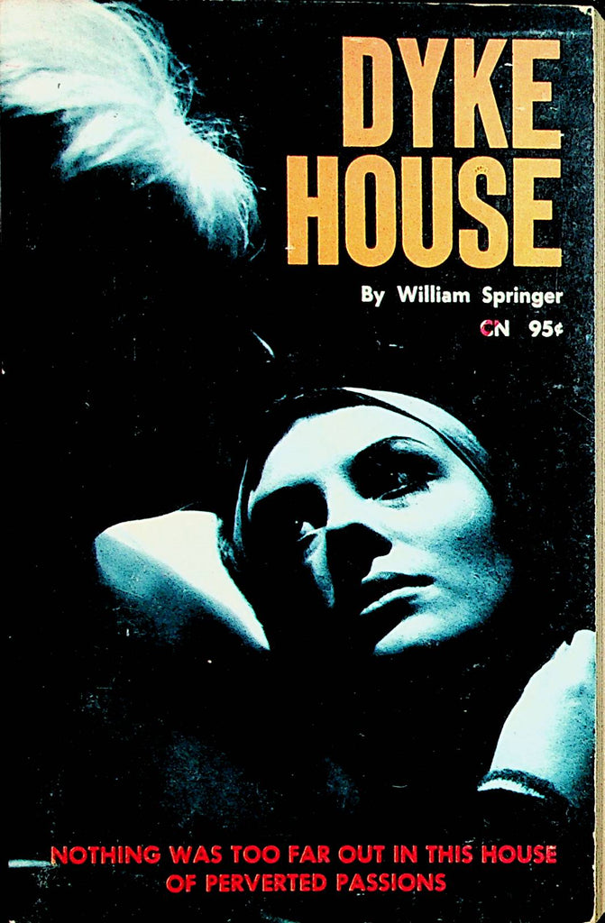 Dyke House Novel   by Wlliam Springer  1965   092221lm-dmB