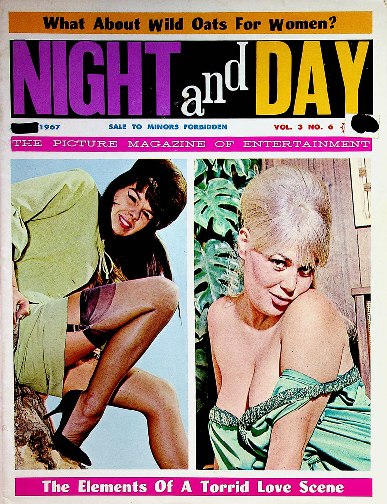 Night and Day Busty Magazine  The Elements Of A Torrid Love Scene  vol.3 #6  1967    091722lm-p2