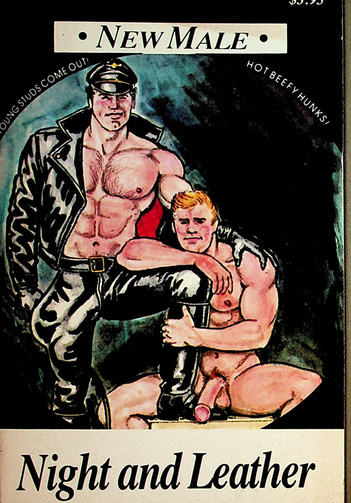 Night and Leather Gay Novel  1988  New Male   092221lm-dm