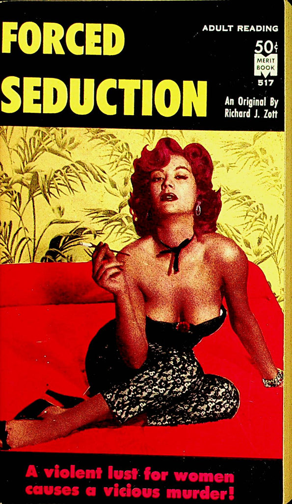 Seduction Novel  by Richard J. Zott   1st Printing 1961  Merit Book     110521lm-dm