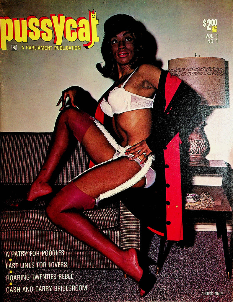 Pussycat Busty Vintage Magazine  vol.1 #1 1966  Parliament Publication  112621lm-dm