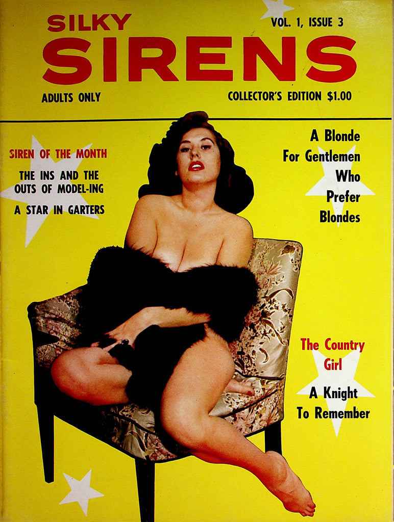Silky Sirens Busty Magazine  A Star In Garters  vol.1 #3  1963  Collector Edition    062322lm-p2