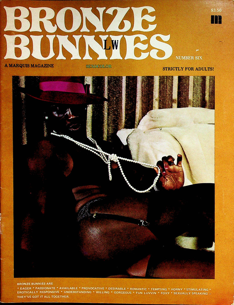Bronze Bunnies Magazine   Minnie Lee / Soul Sisters  #6  1974     111522lm-p2