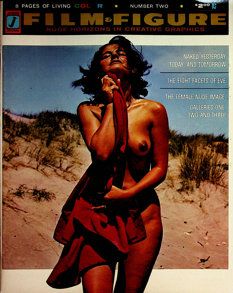 Film & Figure Magazine The Feminine Nude Image #2 1965 Jaybird Enterprises  110922lm-p