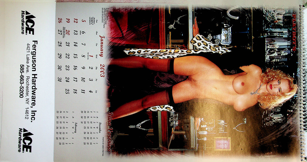 Playboy's Playmate 2003  Advertising Calendar - Ace Hardware  17 " x 9"   041423lm-pca