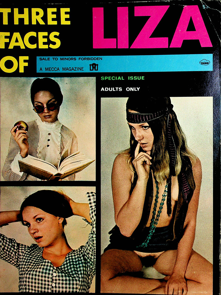 Three Faces Of Liza Magazine  #1 1970's   Special Issue    020422lm-dm