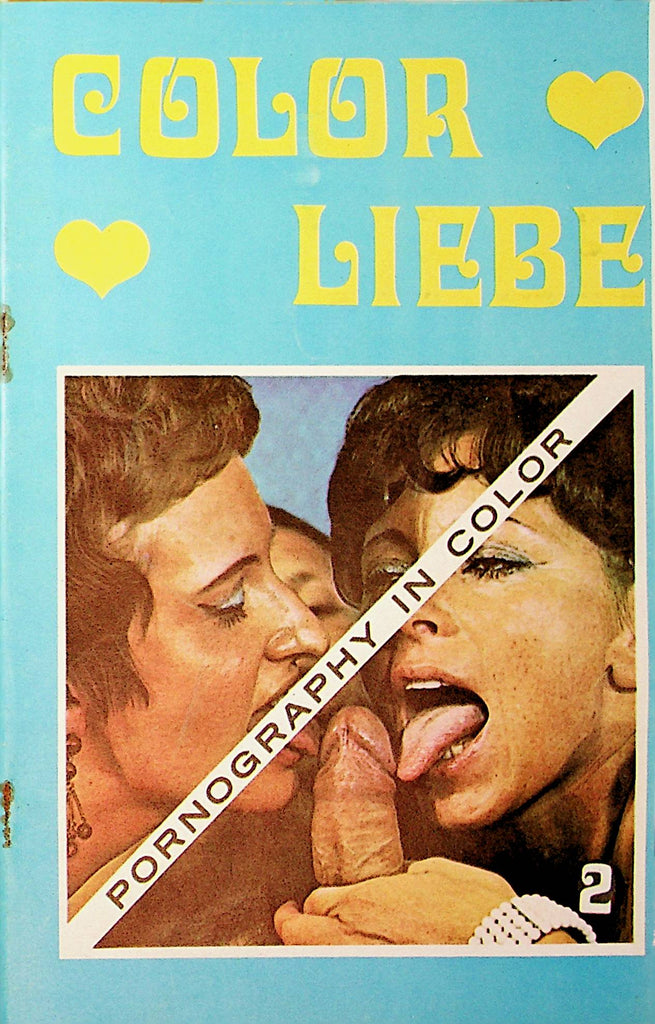 Color Liebe Pornography In Color Digest Magazine #2 1960's   062621lm-DM