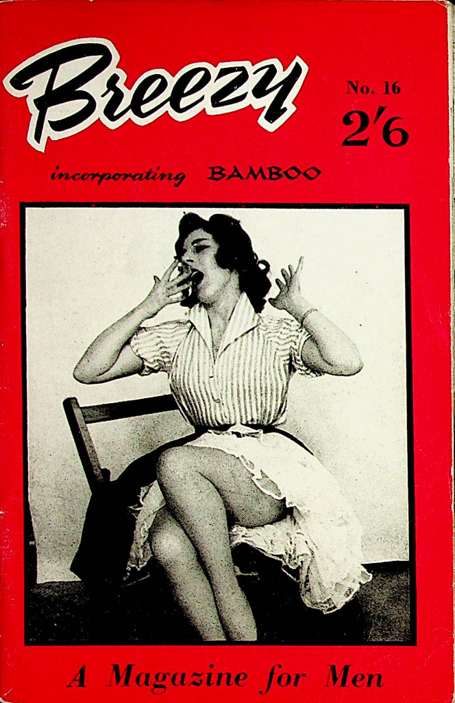 Breezy Vintage Digest  Legs, Stockings, Bras  #16   1960's     062922lm-p2