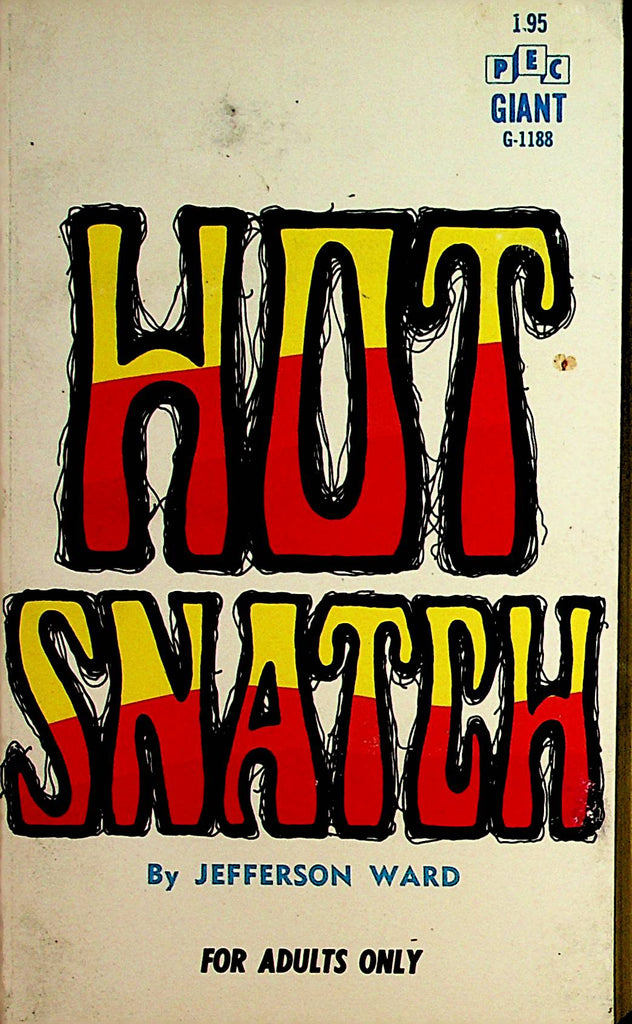 Hot Snatch Novel by Jefferson Ward  1969  062621lm-DM2