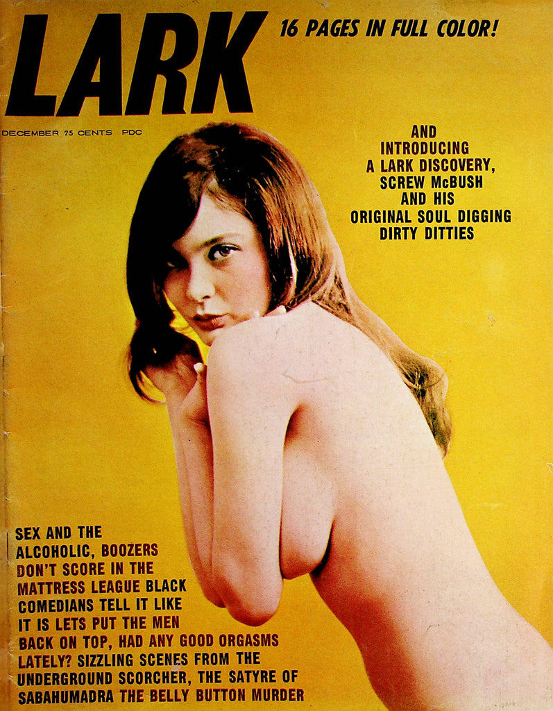 Lark Busty Magazine  Centerfold The Touch Of Susan  December 1969   071522lm-p