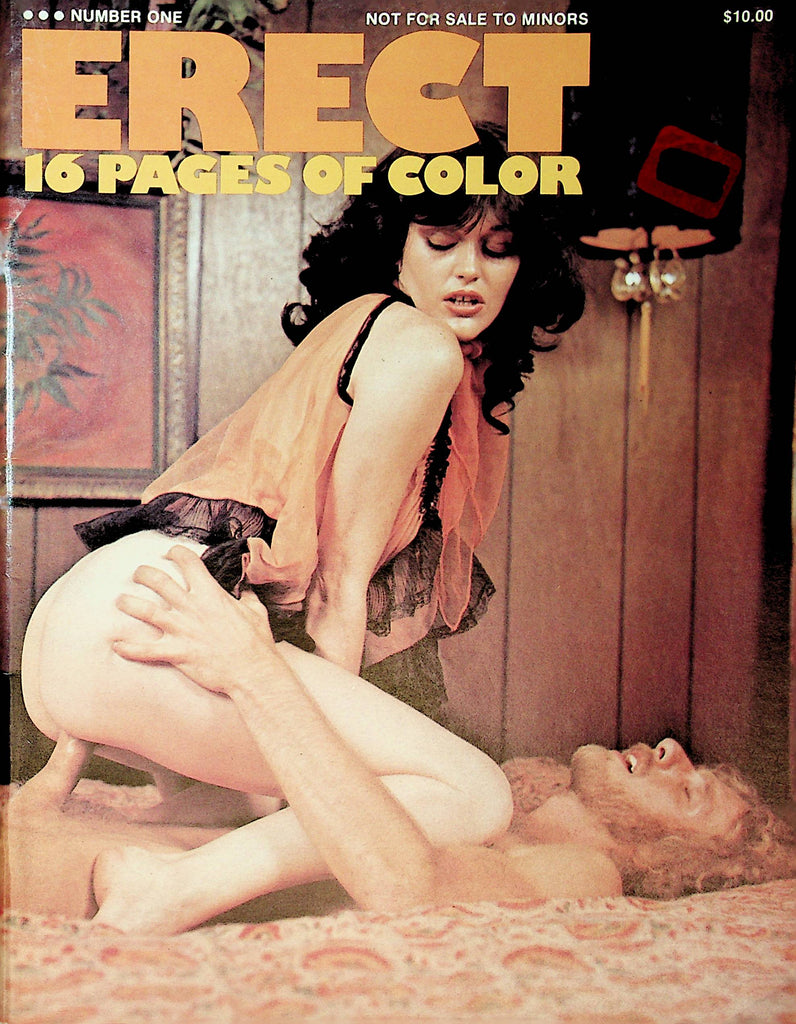 Erect Magazine  The Kept Magazine  #1  1970's  092821lm-dm2