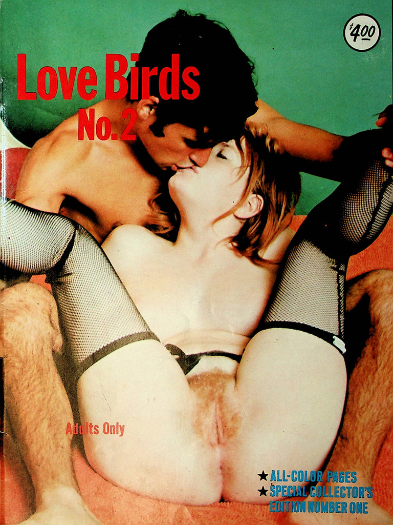 Love Birds Vintage Magazine  #2 1969   Tudor House    122321lm-dm