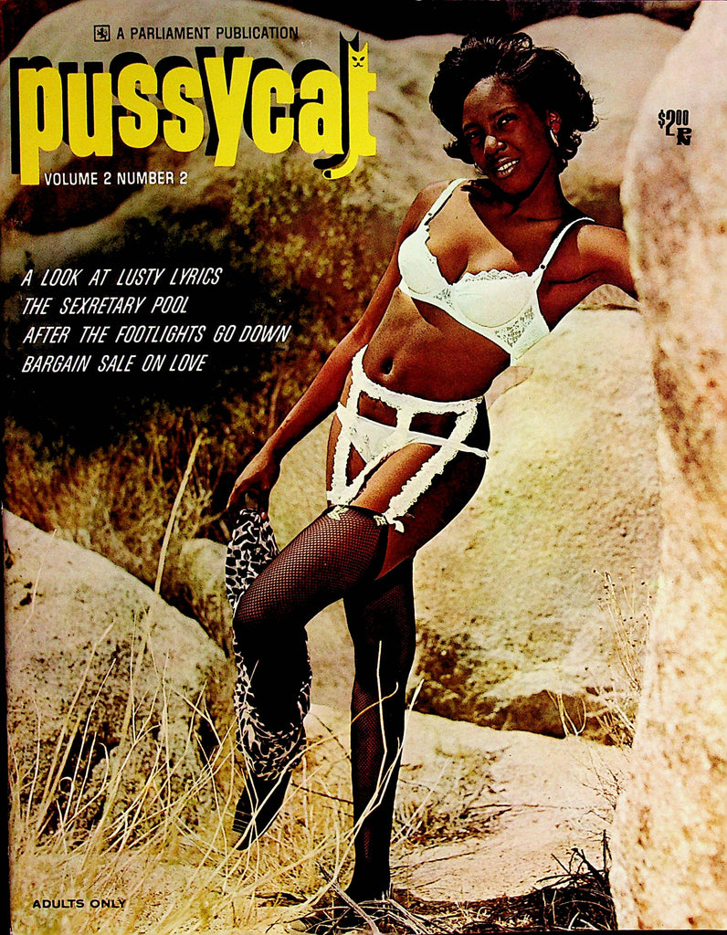 Pussycat Magazine  Centerfold Girl Adele Manners  vol.2 #2  1967     062822lm-p