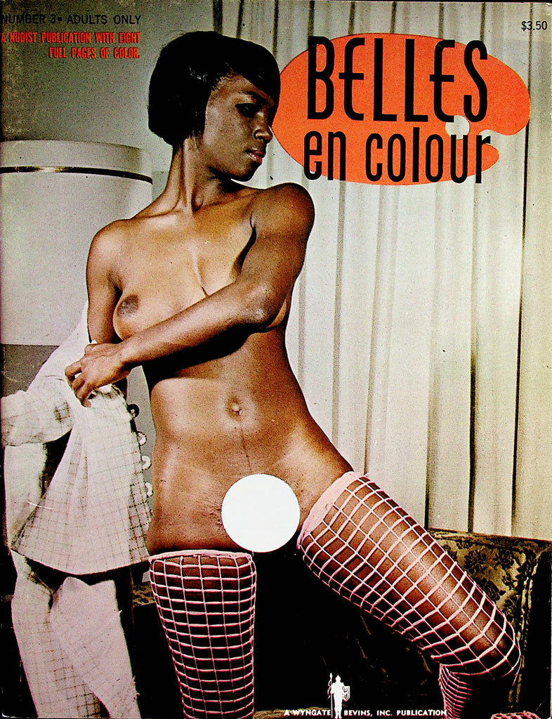 Belles en colour Magazine   Beautiful Black Women   #3  1969    062822lm-p