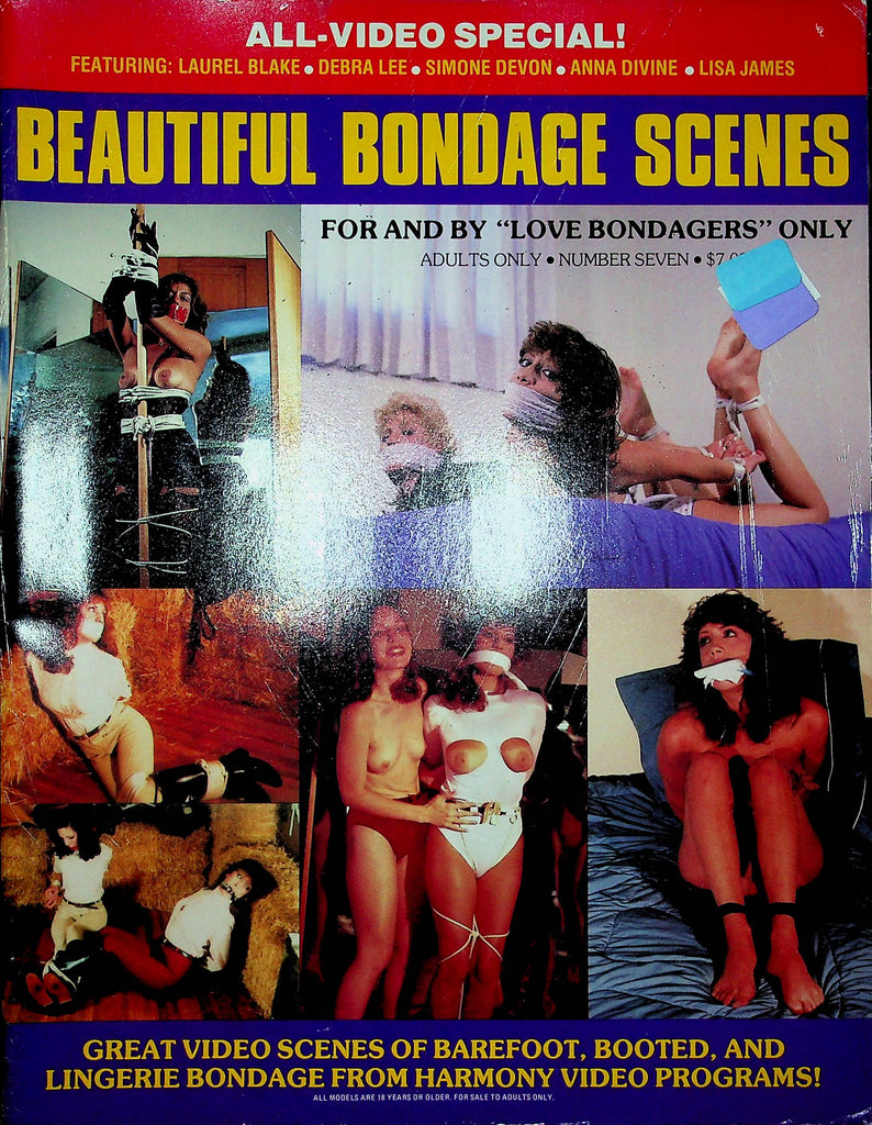 Beautiful Bondage Scenes Magazine No.7 100422RP